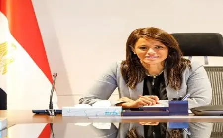 المشاط تبحث مع الاتحاد الأوروبي تعزيز الشراكة في مجال الطاقة المتجددة