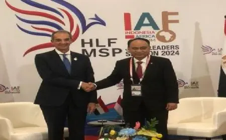 الاتصالات : مصر تشارك تجربتها فى التحول الرقمى وبناء القدرات الرقمية مع إندونيسيا