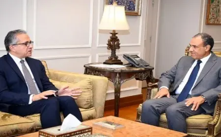 وزير الخارجية يوجه بتوفير كافة سبل الدعم والمساندة لحملة ترشيح خالد العناني لمنصب مدير عام منظمة اليونسكو