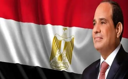 الرئيس السيسي يعود إلى أرض الوطن بعد زيارته لتركيا