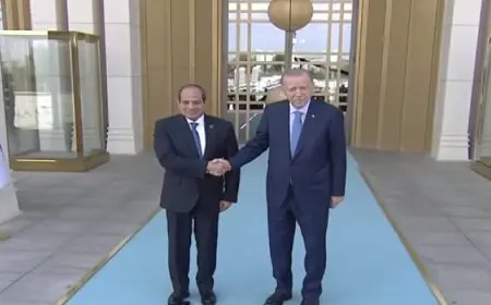 الرئيس السيسي: أعرب عن سعادتي البالغة بزيارتي الأولى للجمهورية التركية