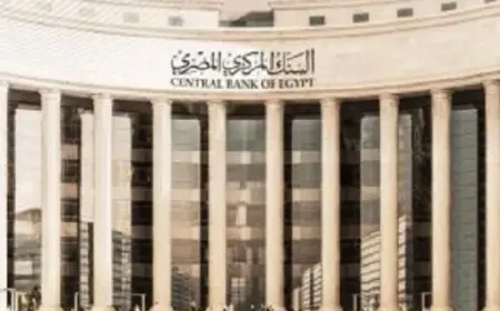 البنك المركزى يعقد اجتماع أسعار الفائدة اليوم وسط توقعات بالتثبيت