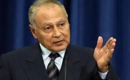 ابوالغيط “:الاعتداء الإسرائيلي الغاشم هو الأعنف والأكثر همجية والأشد انسلاخاً من القانون والأخلاق والإنسانية