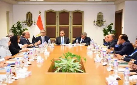 وزير الخارجية: السبيل الوحيد لضمان الاستقرار بالشرق الأوسط هو التوصل لتسوية سياسية شاملة وعادلة للقضية الفلسطينية