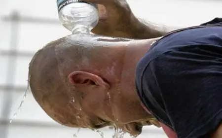 تقرير: صيف 2024 كان الأعلى حرارة على الإطلاق في العالم