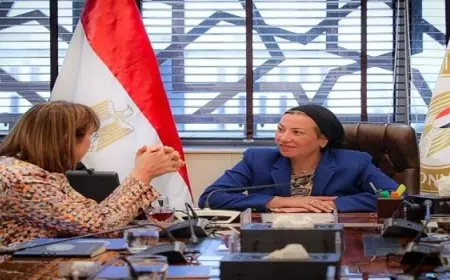 بال .. وزيرة البيئة تستقبل ممثل الأمم المتحدة في مصر لبحث استكمال تعزيز التعاون في عدد من المجالات البيئية