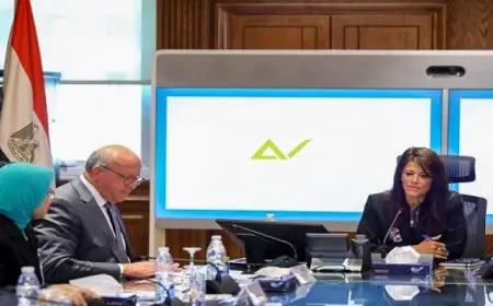 المشاط: استمرار جهود إعادة هيكلة بنك الاستثمار القومي وتعظيم دوره كأحد الأذرع الاقتصادية والاستثمارية للدولة