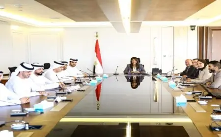 المشاط تناقش مع وفد لجنة التحكيم الإماراتي مخرجات عملية تحكيم الدورة الـ4 من جائزة مصر للتميز الحكومي