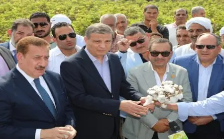 بال .. وزير الزراعة يفتتح موسم جني القطن في محافظة المنوفية بالتزامن مع احتفالات عيد الفلاح