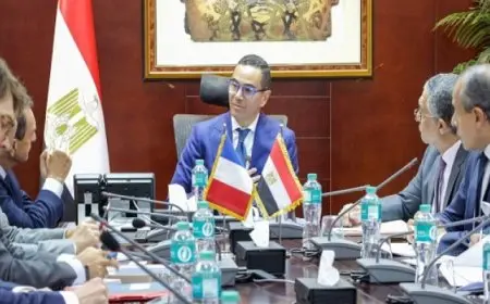 وزير الاستثمار يستقبل سفير فرنسا بالقاهرة لبحث سبل تعزيز العلاقات الاقتصادية المشتركة بين البلدين