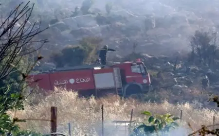 مقتل وإصابة 5 من عناصر الدفاع المدني اللبناني في قصف إسرائيلي على جنوب البلاد