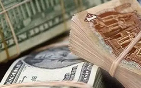 الدولار يواصل تراجعه أمام الجنيه بالبنوك خلال تعاملات بداية تعاملات الأسبوع