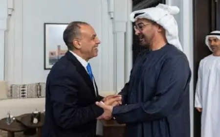 خلال لقائه بالشيخ محمد بن زايد.. وزير الخارجية يؤكد اعتزاز مصر بالتواصل المستمر مع القيادة السياسية الإماراتية