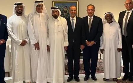 وزير الخارجية لمستثمرين إماراتيين : نتطلع لضخ المزيد من الاستثمارات في مصر