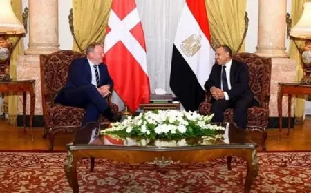 وزير الخارجية يبحث مع نظيره الدنماركي العلاقات الثنائية والأوضاع الإقليمية