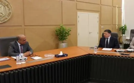 وزير الكهرباء يبحث مع شركة “CEE الصينية” أوجه التعاون في مجالات التصنيع المحلي