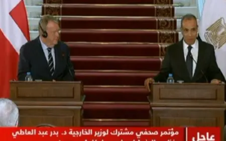 وزير الخارجية: اتفاق في الرؤى بين مصر والدنمارك على أهمية مكافحة الإرهاب والقضايا الإقليمية والدولية
