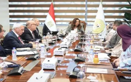 التنمية المحلية ومحافظ القاهرة يدرسون “الهابيتات” لتطوير الموسكي والعتبة