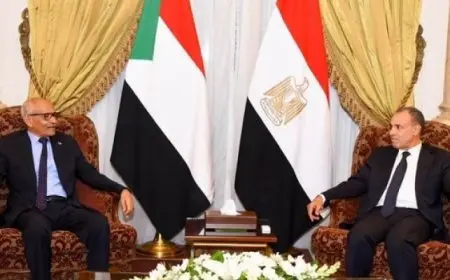 وزير الخارجية والهجرة يؤكد لنظيره السوداني دعم مصر لوحدة السودان وسيادته وسلامة أراضيه