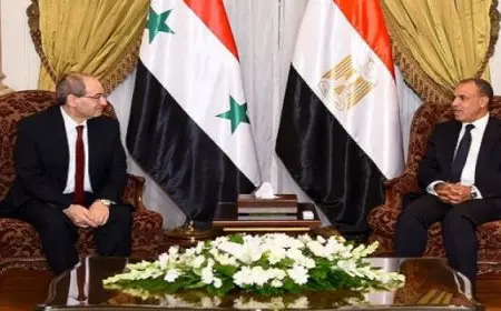 وزير الخارجية يؤكد موقف مصر الداعم للدولة السورية في مواجهة التحديات