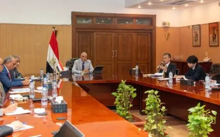 وزير الري يبحث مع سفير اليابان بالقاهرة تعزيز التعاون بين البلدين في مجال الموارد المائية