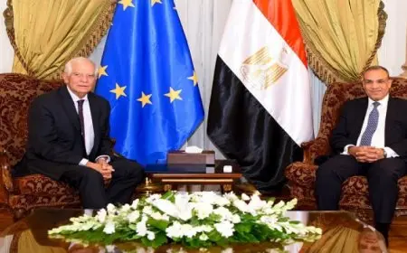 وزير الخارجية يبحث مع بوريل تعزيز محاور الشراكة الإستراتيجية الشاملة والتطورات في غزة