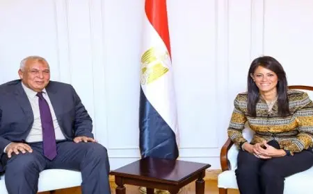 المشاط تلتقي محافظ الوادي الجديد لمتابعة تنفيذ مشروعات الخطة الاستثمارية 2024/2025