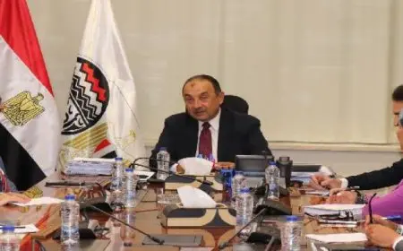 وزير قطاع الأعمال يبحث فرص التعاون مع “مطوري القاهرة الجديدة والعاصمة الإدارية”