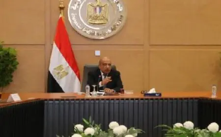 “الكهرباء”: التوسع في استخدام التكنولوجيا والعدادات الذكية للحد من سرقة التيار الكهربائي