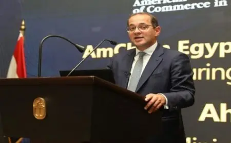 وزير المالية: إعلان حُزْمَة شاملة ومتكاملة من التسهيلات الضريبية خلال ساعات
