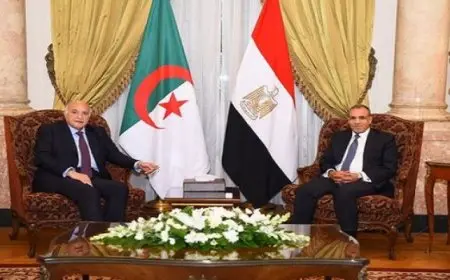 وزير الخارجية والهجرة يلتقي مع نظيره الجزائري خلال الاجتماع الوزاري لمجلس جامعة الدول العربية