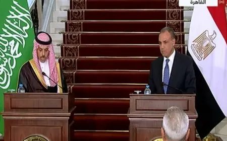 وزير الخارجية: لن نتوقف عن جهودنا الرامية لوقف العدوان على غزة والضفة الغربية