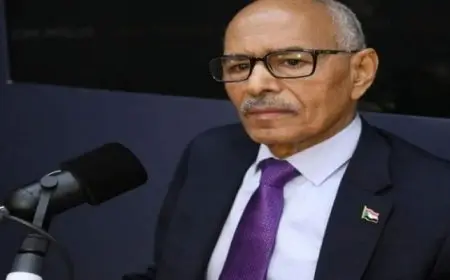 وزير خارجية السودان: نثق في دور مصر وحكمتها في التعامل مع الأزمة السودانية