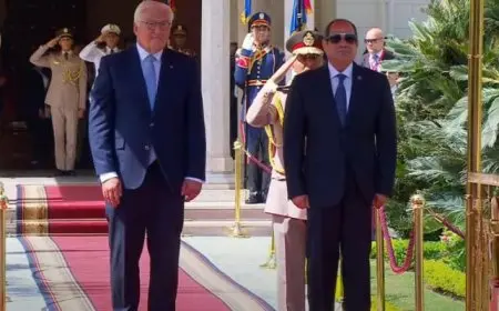 الرئيس السيسي يستقبل الرئيس الألماني شتاينماير في قصر الاتحادية