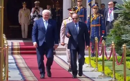 الرئيس السيسي يبحث مع رئيس ألمانيا الاتحادية تعزيز العمل التنموي والاستثماري بين البلدين