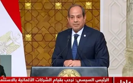 الرئيس السيسي: استخدام سلاح الجوع ضد الفلسطينيين انتهاك صارخ لحقوق الإنسان