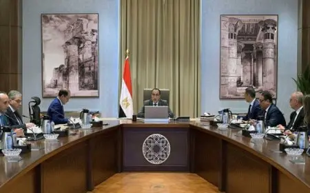 رئيس الوزراء يعقد اجتماعاً لبحث المعايير والضوابط النوعية لتنظيم سوق السيارات في مصر