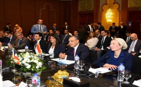 وزير الخارجية والهجرة يترأس مع نظيره الكويتي أعمال اللجنة المصرية – الكويتية المشتركة