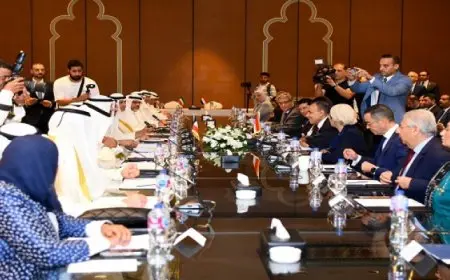 في بيان مشترك.. وزيرا خارجية مصر والكويت يؤكدان على خطورة التصعيد المتعمد من الجانب الإسرائيلي