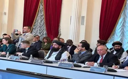 هنو من روسيا: العالم يشهد اهتماما ملحوظا بدور الصناعات الثقافية الرقمية في الاقتصادات الوطنية