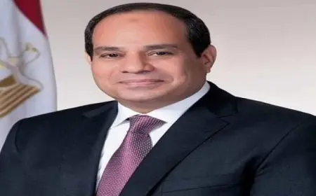 رئيس الوطنية للإعلام يهنئ الرئيس السيسي بذكرى المولد النبوي الشريف