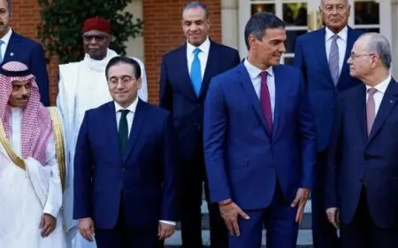 بمشاركة أوروبية.. اللجنة الوزارية العربية الإسلامية في مدريد لبحث حرب غزة