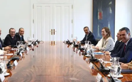 وزير الخارجية يؤكد ضرورة التوصل لوقف فوري لإطلاق النار في غزة