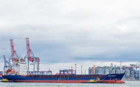 الناتو: استهداف ناقلة حبوب مدنية يظهر “تهور روسيا”