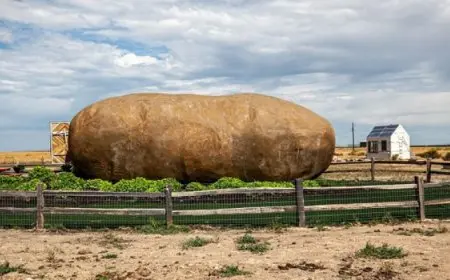 فندق على شكل حبة بطاطس عملاقة وسعر الليلة 145 إسترليني