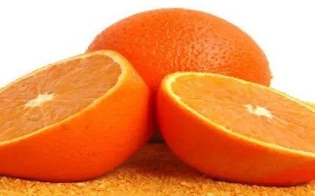 فوائد بذور البرتقال هتقوي مناعتك وتحميك من الالتهابات