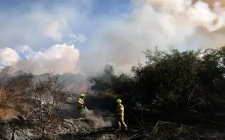 جماعة الحوثي تتبنى إطلاق صاروخ بالستي على وسط إسرائيل