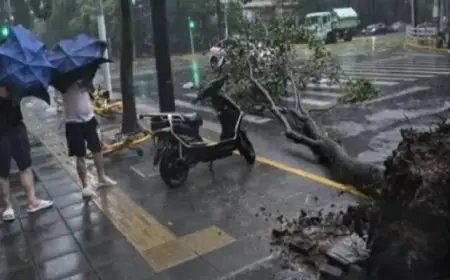 الصين: إجلاء 414 ألف شخص من منازلهم في شنغهاي جراء إعصار “بيبينكا”