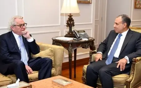 وزير الخارجية يؤكد على إستمرار جهود مصر للتوصل لوقف إطلاق النار وإنفاذ المساعدات الإنسانية إلى غزة