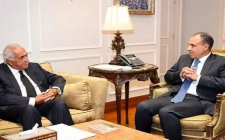 وزير الخارجية والهجرة يستقبل وفد غرفة التجارة الأمريكية